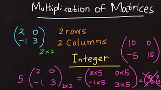 MATRICES 📍 ✖️ Multiplication Matrix with an INTEGER  Order of Matrix  MATRIX 9️⃣ [upl. by Ahsoem]