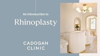 An Introduction to Rhinoplasty  Mr Duncan Atherton [upl. by Alita]