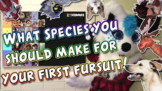 The Top Fursuit Species for Beginners RANKED  Maker Masterclass Lesson 2 [upl. by Gerc]