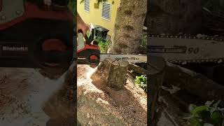 When the Chainsaw Gets Stuck  Electric Chainsaw Cutting Log [upl. by Oijile689]