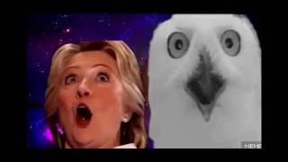 Hillary Clinton jacksonian seizure [upl. by Zelikow320]