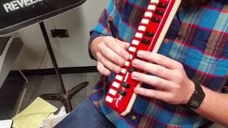 How to Play the Melodica [upl. by Aniled]