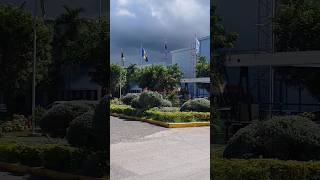 How to find the re  located Montego Bay Tax Office yt shortvideo revenuestreams civilservices [upl. by Marlane245]