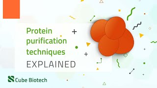 Protein Purification [upl. by Ramma184]