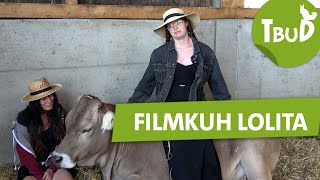 Eine Kuh beim Film  Tiere bis unters Dach  SWR Plus [upl. by Drabeck958]