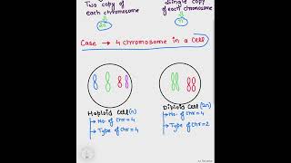 Haploid cell and Diploid cell shorts gurudham [upl. by Stroud]