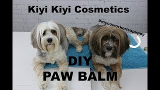 DIY Dog Paw Balm or Wax  Make Your Own [upl. by Nyliuqcaj319]