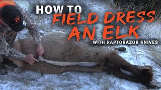 How to field dress an Elk without gutting Using the Raptorazor knives [upl. by Anitnatsnoc]