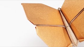 Origami Butterfly  Timelapse Jo Nakashima [upl. by Yc2]