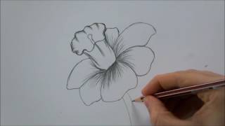 How To Draw a Flower step by step In 6 Minutes [upl. by Nuzzi]