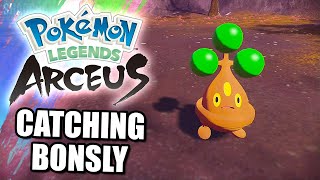 POKEMON LEGENDS ARCEUS HOW TO CATCH NO 123 BONSLY ALPHA [upl. by Carl256]