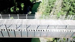 Fish Jumping on the Cowichan River [upl. by Epifano]