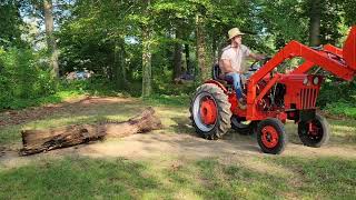 1980 Power King 2418 Loader Tractor Moving a Big Log [upl. by Jb]