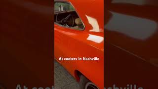 Cooters in Nashville [upl. by Emsoc]