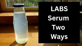 Making LABS serum two techniques Make your own soil bacterial inoculants for free [upl. by Lenni]