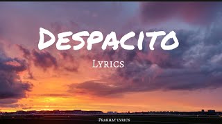 Luis fonsi  despacito ft Daddy Yankee lyrics  lyrics video [upl. by Ellehsar]