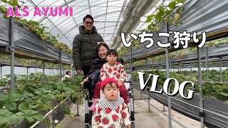 いちご狩り🍓VLOG [upl. by Leiad]