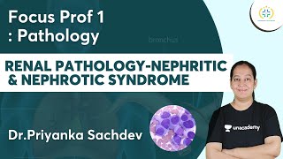 Renal PathologyNephriticamp Nephrotic Syndrome  Focus Prof 1 Unacademy Future Doctors  DrPriyanka [upl. by Murrell]