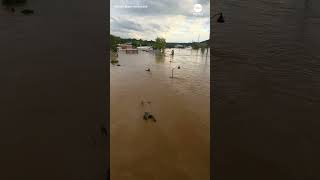 Major flooding in Asheville after Helene [upl. by Gnouh]