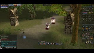 Cheburashka L2Old School Solo pvps  siege L2Gold [upl. by Irtimid127]