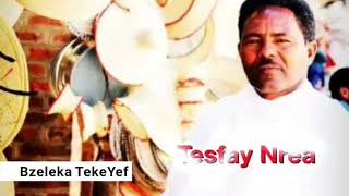 Tesfay Nrea Eritrea Bahlawi guayla 🎤🎹🎸🎷 [upl. by Niwhsa]