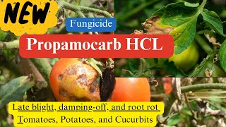 Propamocarb Hydrochloride Fungicide Chemistry Modes of Action Formulations and Applications [upl. by Viviene82]