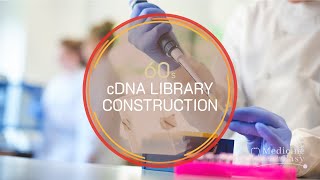 Genetics in 60 seconds cDNA Library Construction [upl. by Ayanad]