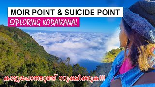 Exploring Green Valley Viewpoint and Moir Point Kodaikanal  Kodaikanal Malayalam [upl. by Kalikow]