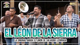 El León De La Sierra  La Original Banda El Limón [upl. by Monney764]