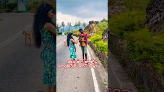 අපෙ මල් මල්ලිට කෙල්ලෙක් සෙට් ❤ Follow love song tamilsong [upl. by Iggam]