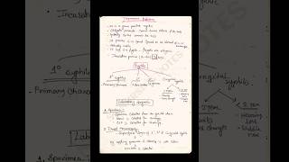 Treponema Pallidum shortnotes shortnot microbiology explore [upl. by Lorrie209]