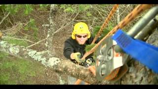 Installing a Barred Owl Nesting Box [upl. by Aliab558]