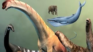 Paleontology News How Sauropods Grew So Big [upl. by Eibloc]