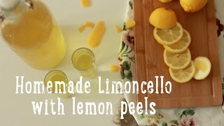 Homemade Limoncello [upl. by Duff]