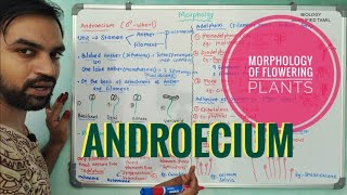 Androecium  Morphology of Flowering Plants [upl. by Euhc]