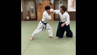 Aikido Joint technique and Flying armbar [upl. by Lerrehs]