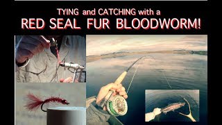 Tying and Catching with John Kents Red Seal Bloodworm [upl. by Noreik]