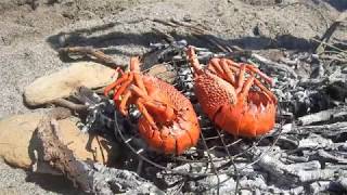 Overnight swag camping in a boat Batemans Bay Nsw Australia [upl. by Noiz635]