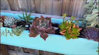 UPDATE Overgrown Succulent Planter Like New [upl. by Ailahtan]