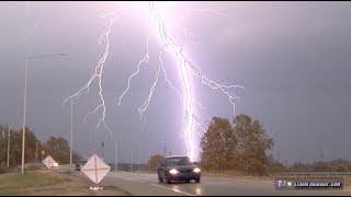 Lightning Striking Tree in 4K  Tree Catches on Fire [upl. by Farhsa]