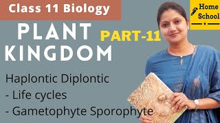 Plant kingdom  Class 11 Biology  Haplontic Diplontic  Part 11 [upl. by Nyrehtak]