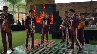 LAS BODAS DE LUIS ALONSO MARIACHI MEXICANISIMO [upl. by Enyleuqcaj]