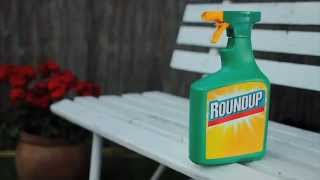 Roundup 1L Ready to Use  Video  Roundup Weedkiller [upl. by Ayaet]