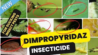 Dimpropyridaz Insecticide Effective Control of Sucking Pests in Crops [upl. by Ecniuq]