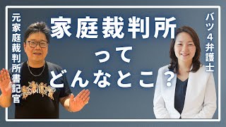 【火曜裁判所劇場】家庭裁判所ってどんなとこ？ [upl. by Eceinwahs]