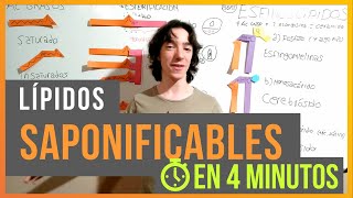 Lípidos Saponificables en 4 minutos [upl. by Eirolam582]