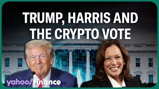 What crypto traders are hearing from Harris Trump ahead of election [upl. by Hayarahs]