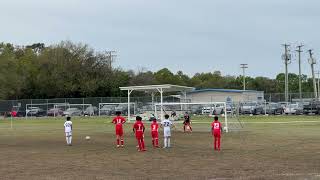 U 10 Match Div 1 Tampa Dynamo FC at West Florida Flames Gold Team Dynamo Loss 2 to 4 March 2 2024 [upl. by Sinnelg]