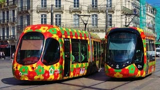 Trams in France  Les Tramways de Montpellier [upl. by Yniattirb]