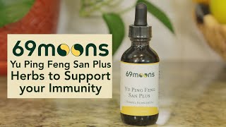 Yu Ping Feng San Plus Chinese Herbs to Support your Immunity herbs traditionalchinesemedicine [upl. by Ahsaercal]